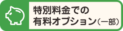 特別料金での有料オプション