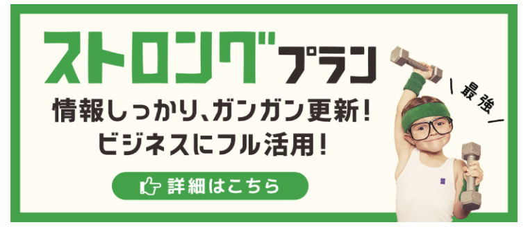 情報しっかり、ガンガン更新。ビジネスにフル活用。ストロングプラン：福島県郡山市アノマリーデザイン