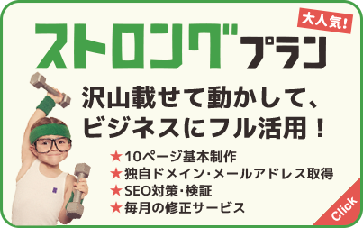 ストロングプラン：沢山載せて動かして、ビジネスにフル活用！
